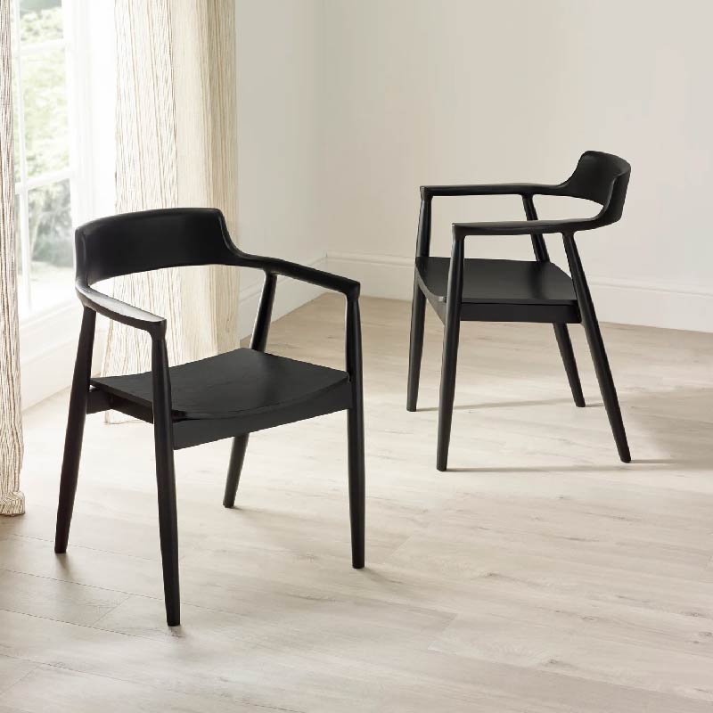Franklin Dining Chair with Arms (Set of 2)