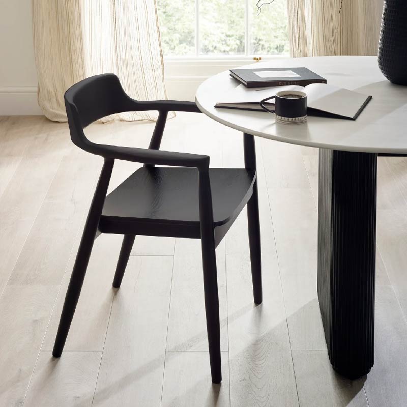 Franklin Dining Chair with Arms (Set of 2)