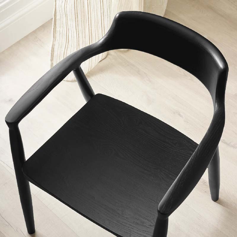 Franklin Dining Chair with Arms (Set of 2)